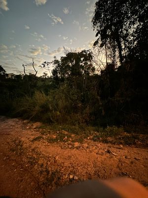 Image 4 - 928097