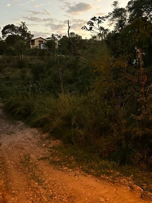 Image 7 - 928097