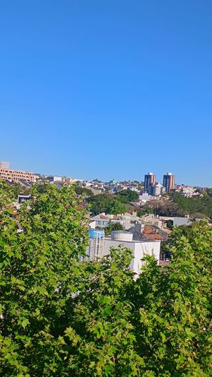 Image 6 - 928115
