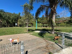 Image 13 - 928313