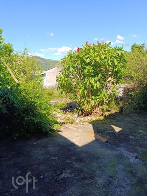 Image 10 - 928375