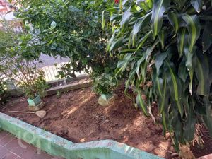 Image 14 - 928418