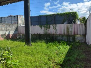 Image 6 - 928439