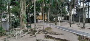 Image 1 - 928464