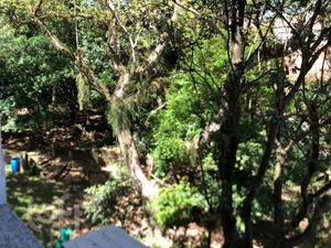 Image 9 - 928756