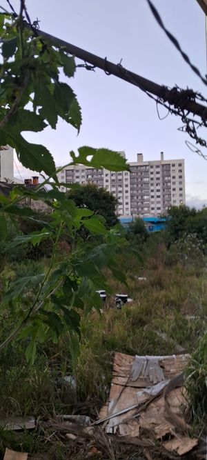 Image 2 - 928883