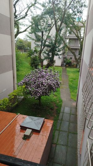 Image 12 - 929251