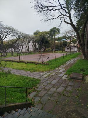 Image 13 - 929251