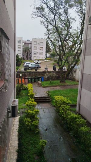 Image 19 - 929251