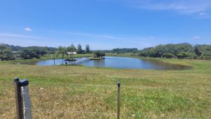 Image 6 - 929444