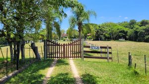 Image 8 - 929444