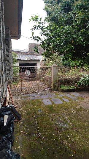 Image 10 - 929458