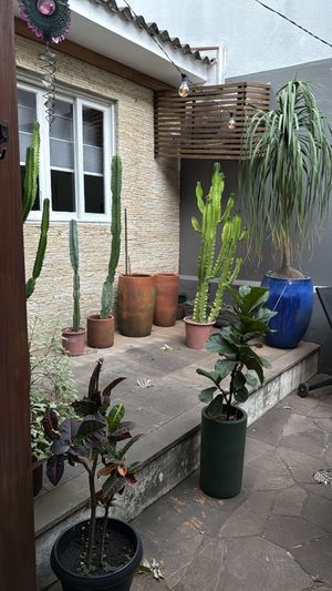 Image 5 - 929745