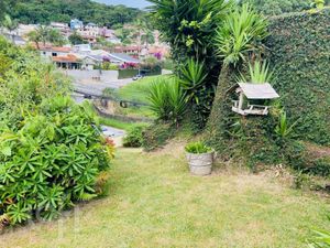 Image 55 - 929931