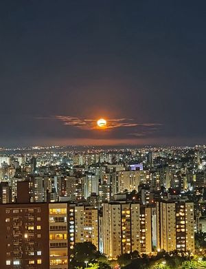 Image 2 - 931106