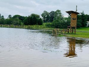 Image 20 - 931122