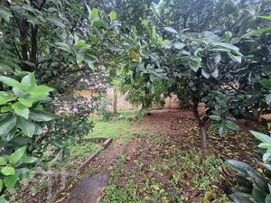 Image 37 - 931187