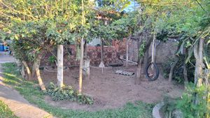 Image 8 - 931420