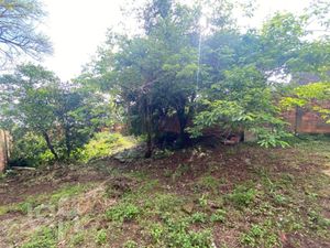Image 19 - 931471