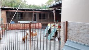 Image 4 - 931567