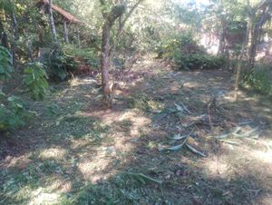 Image 8 - 932461