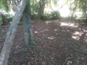 Image 3 - 932461