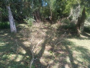 Image 9 - 932461