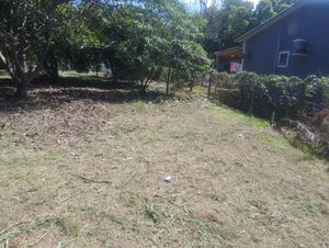 Image 5 - 932461