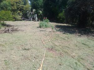 Image 6 - 932461