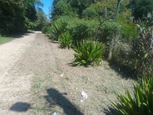 Image 7 - 932461