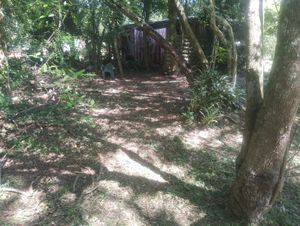 Image 4 - 932461