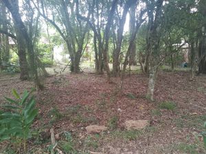 Image 2 - 932461