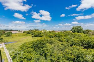 Image 14 - 932526