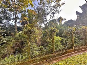 Image 3 - 932612