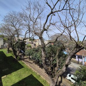 Image 20 - 932909