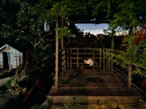 Image 17 - 933838