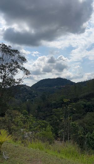 Image 2 - 934761