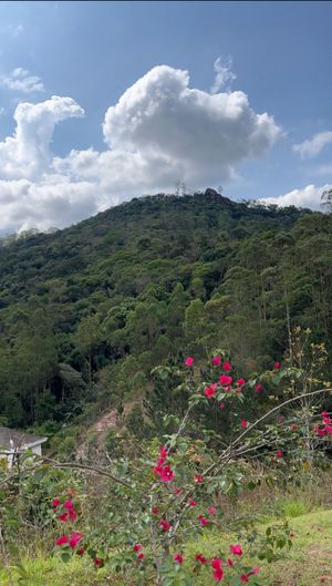 Image 8 - 934761