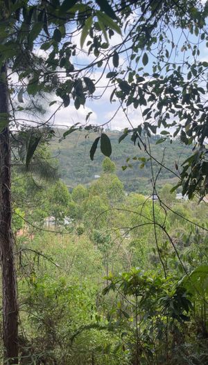 Image 7 - 934761