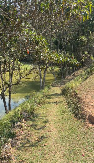 Image 6 - 934761