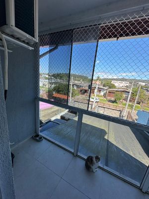 Image 13 - 935813