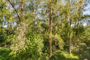 Image 14 - 936018