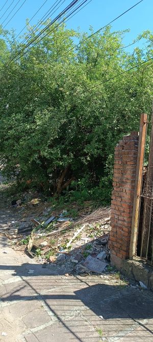 Image 12 - 936836