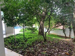 Image 34 - 941211