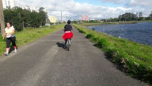 Image 11 - 941674