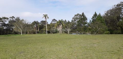 Image 19 - 930473