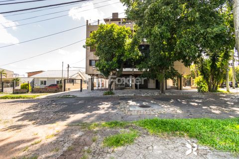 Image 9 - 886919