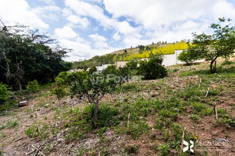 Image 19 - 873017