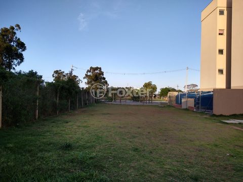 Image 8 - 894236