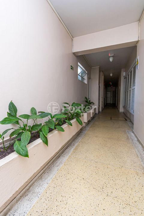 Image 17 - 306499